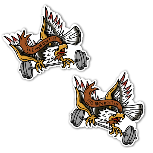 FTFF Iron Eagle - 2" Sticker Pack