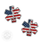 EMS Star USA Flag Tattered - 2" Sticker Pack